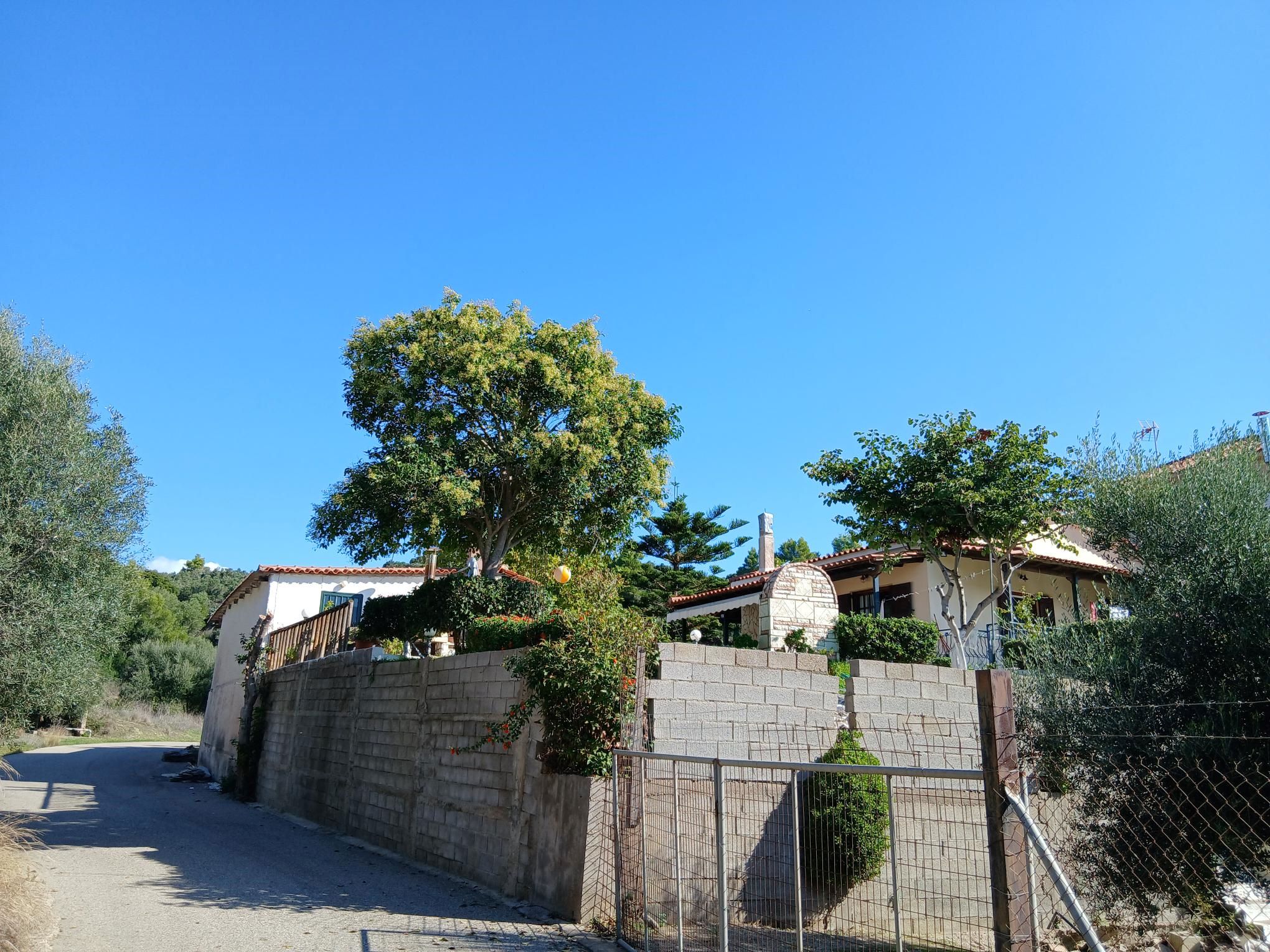 photo3