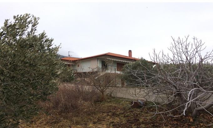 Αγροτεμάχιο με κτίσμα  σε πλειστηριασμό Δήμος Νέας Προποντίδας
