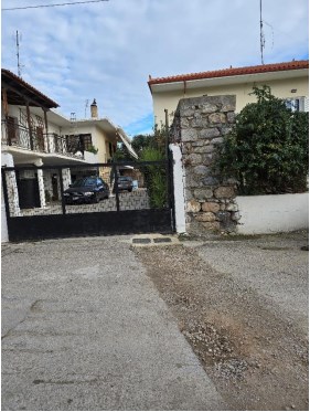 photo1