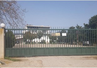 photo1