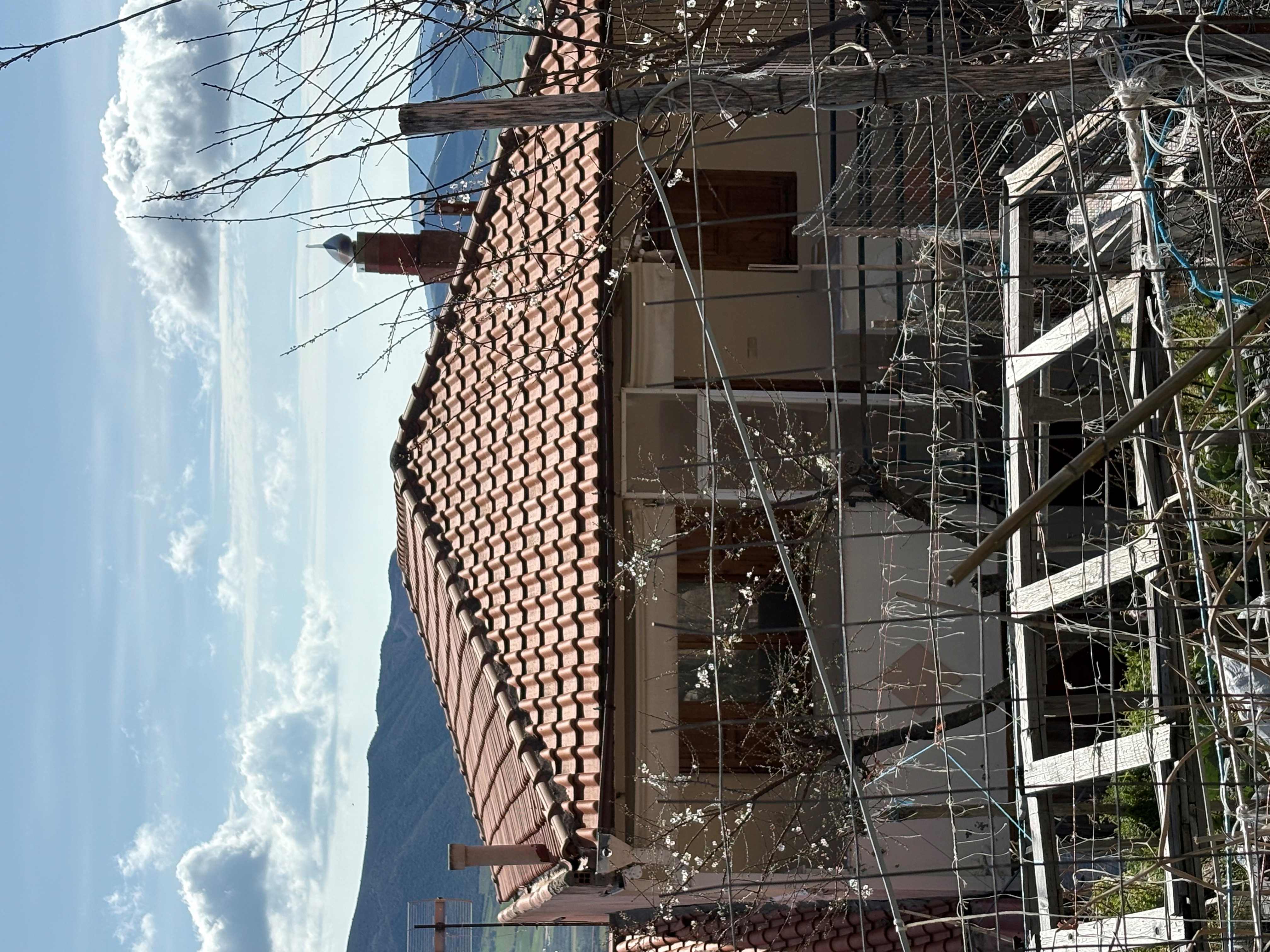 photo0