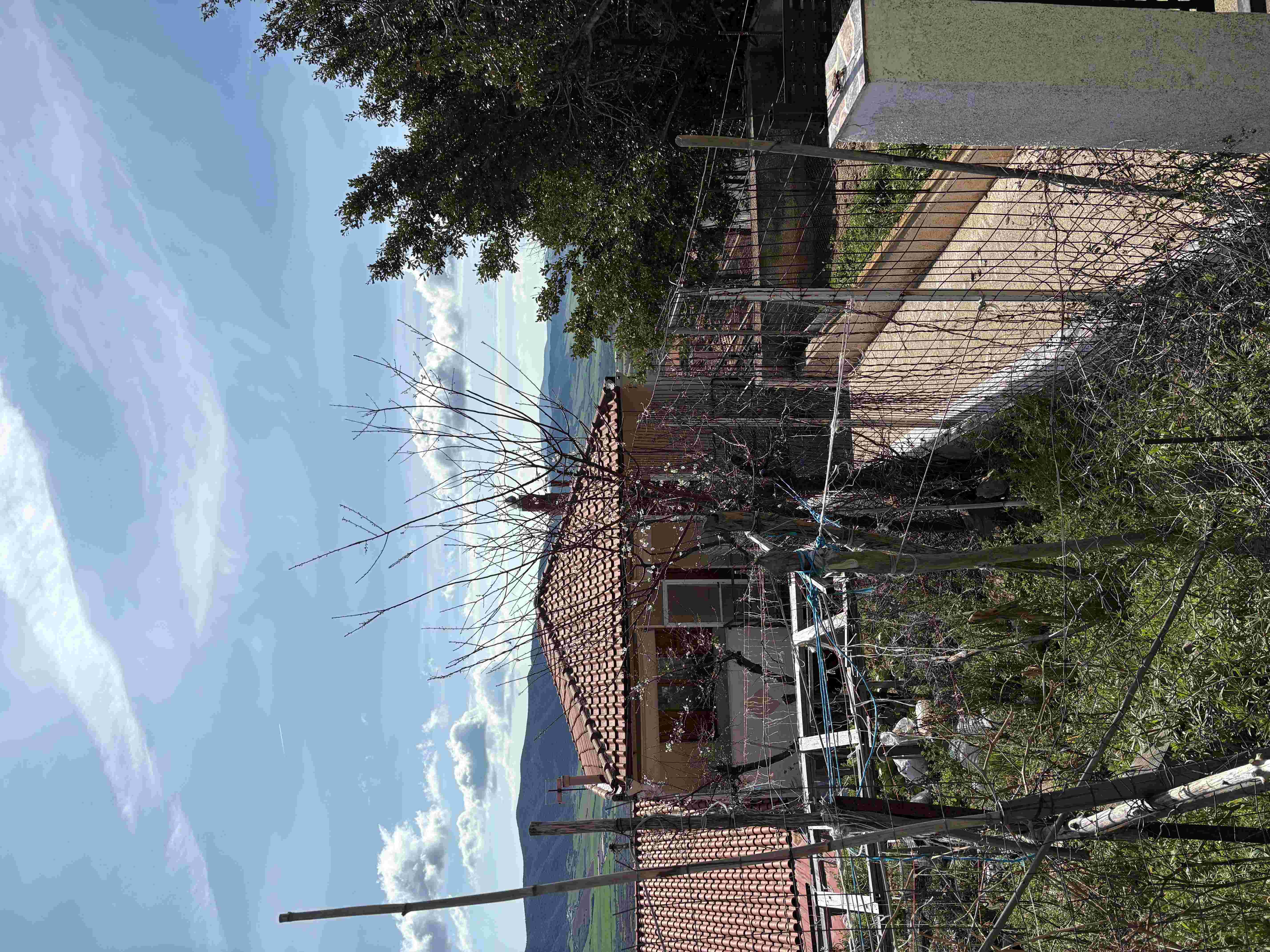 photo1