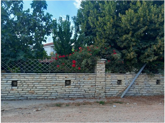 photo2