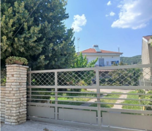 photo4