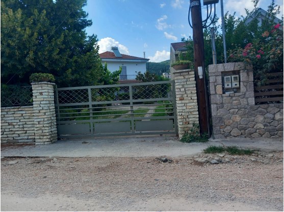 photo1