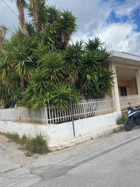 photo1