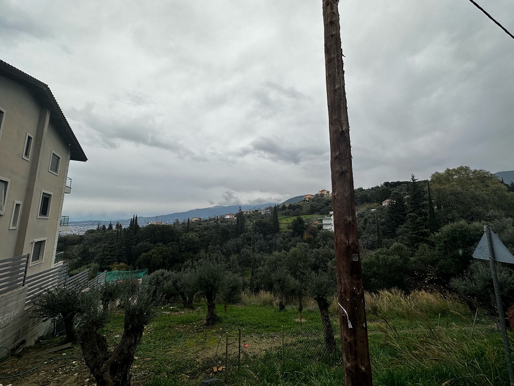 Οικόπεδο 288 sq.m. σε πλειστηριασμό Municipality of Patreon