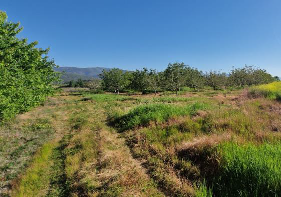 photo1