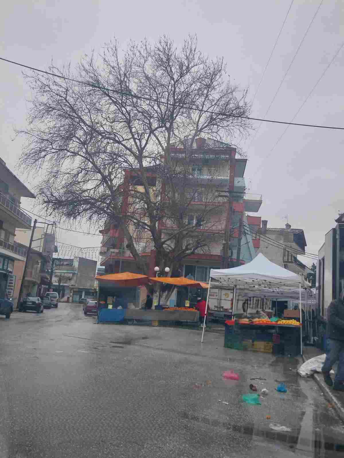 photo1