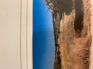Αγροτεμάχιο με κτίσμα  σε πλειστηριασμό Δήμος Βόλου