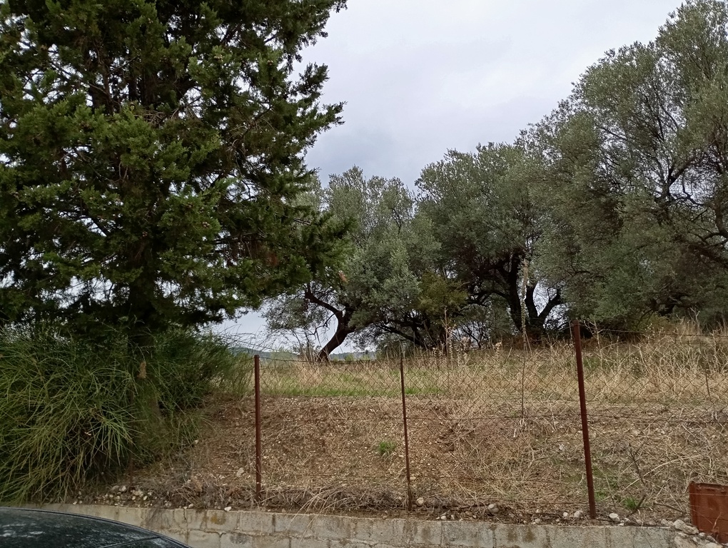 photo1