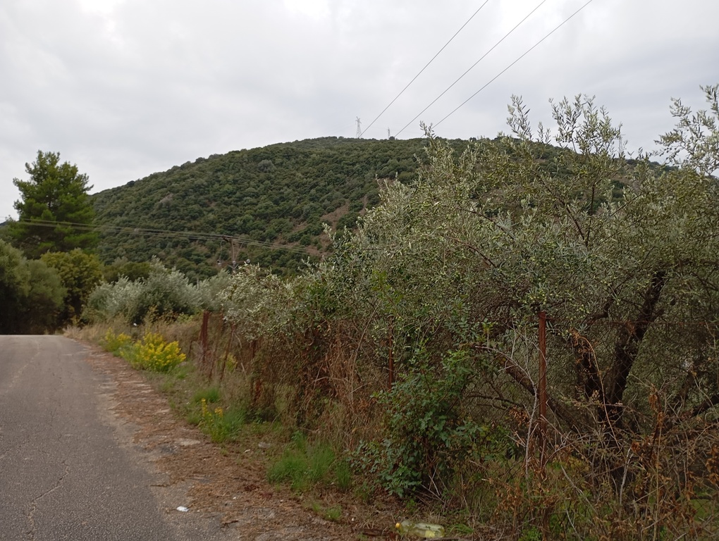 Οικόπεδο  σε πλειστηριασμό Δήμος Ηγουμενίτσας