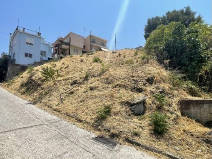 Οικόπεδο  σε πλειστηριασμό Δήμος Λέσβου
