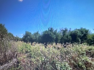 photo3