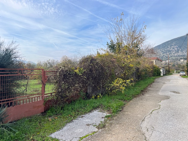 photo0