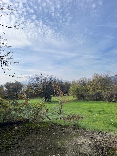 photo1