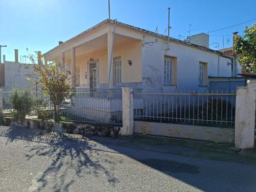 photo1