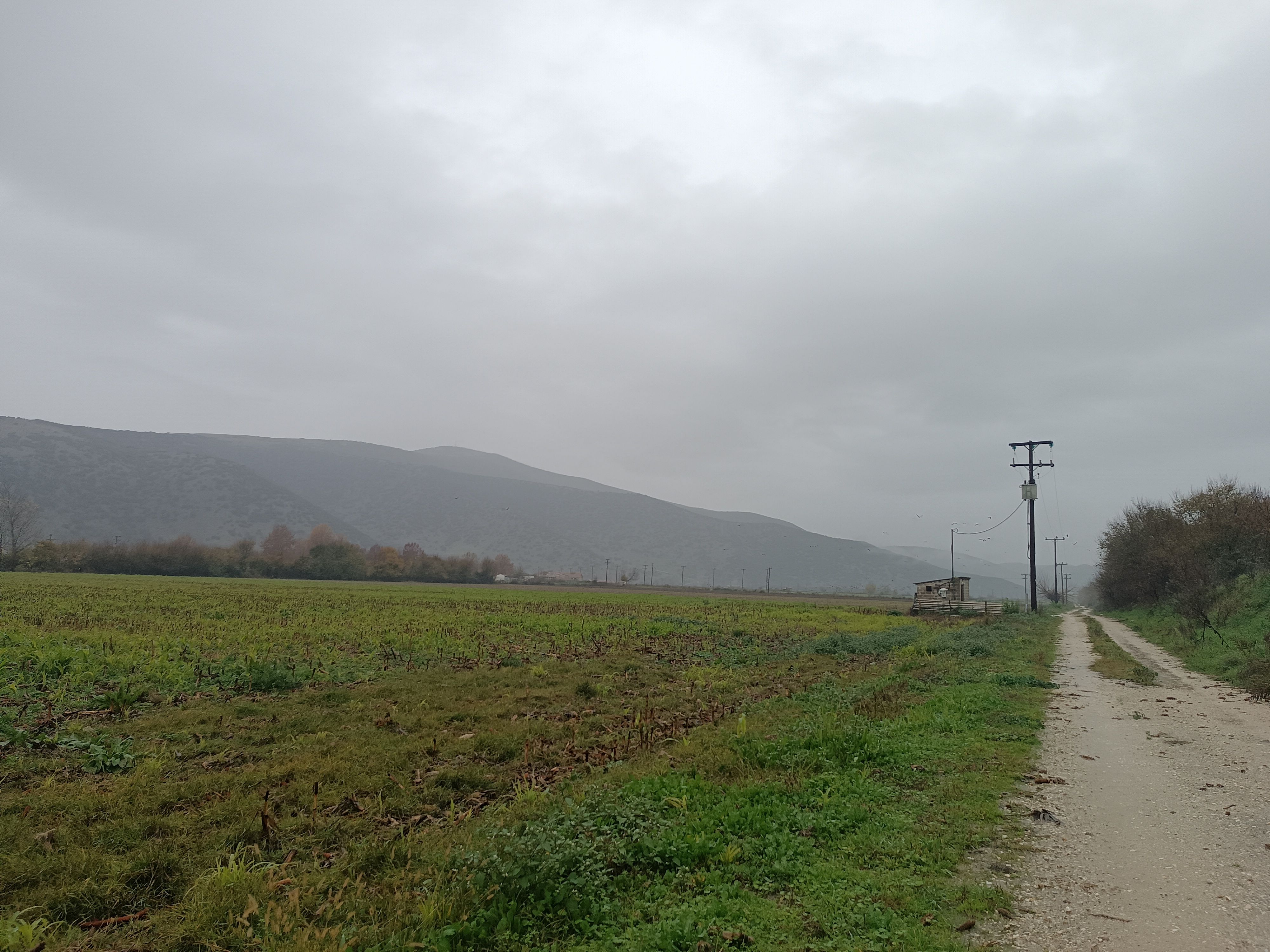 photo5