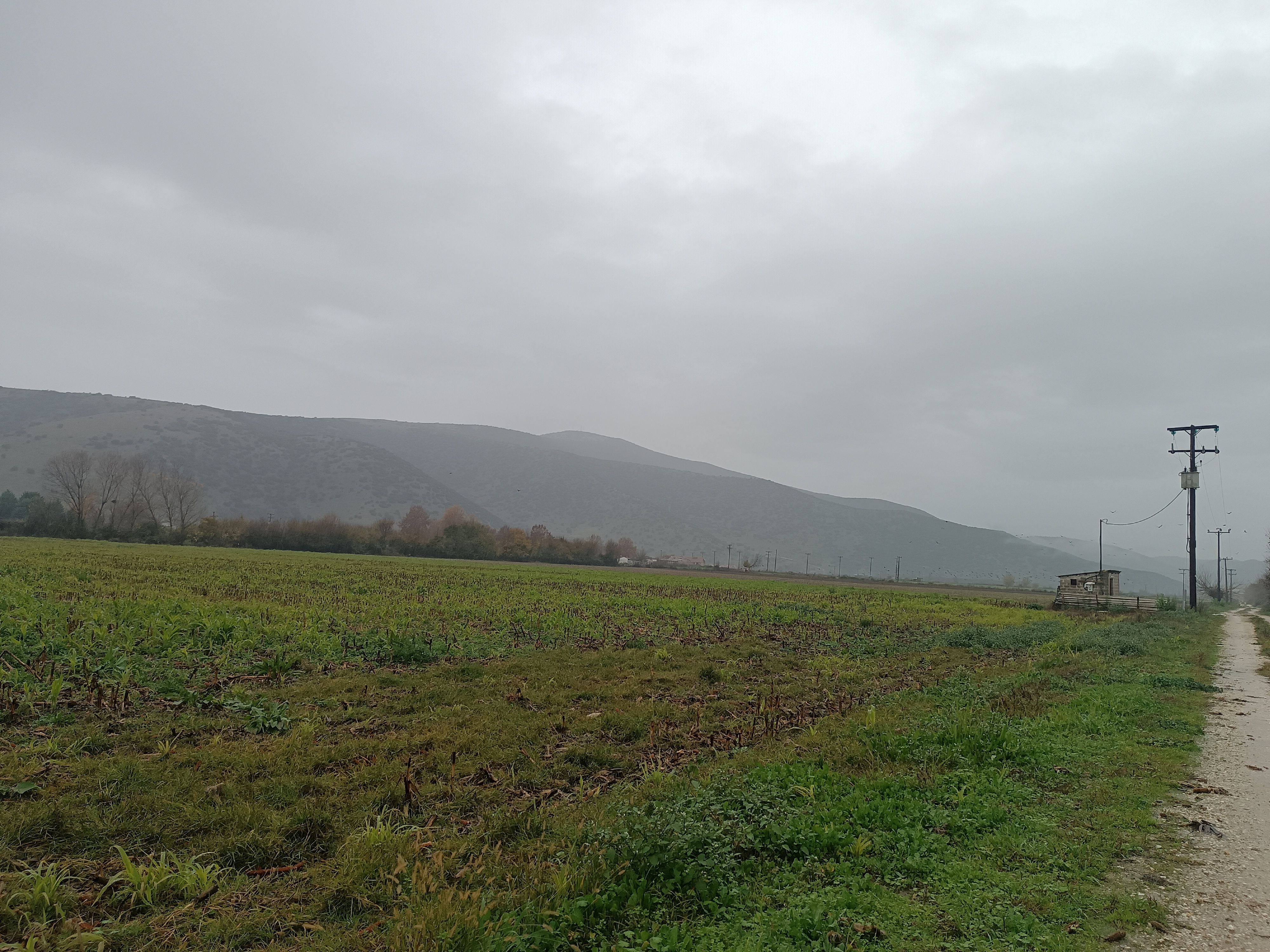 photo6