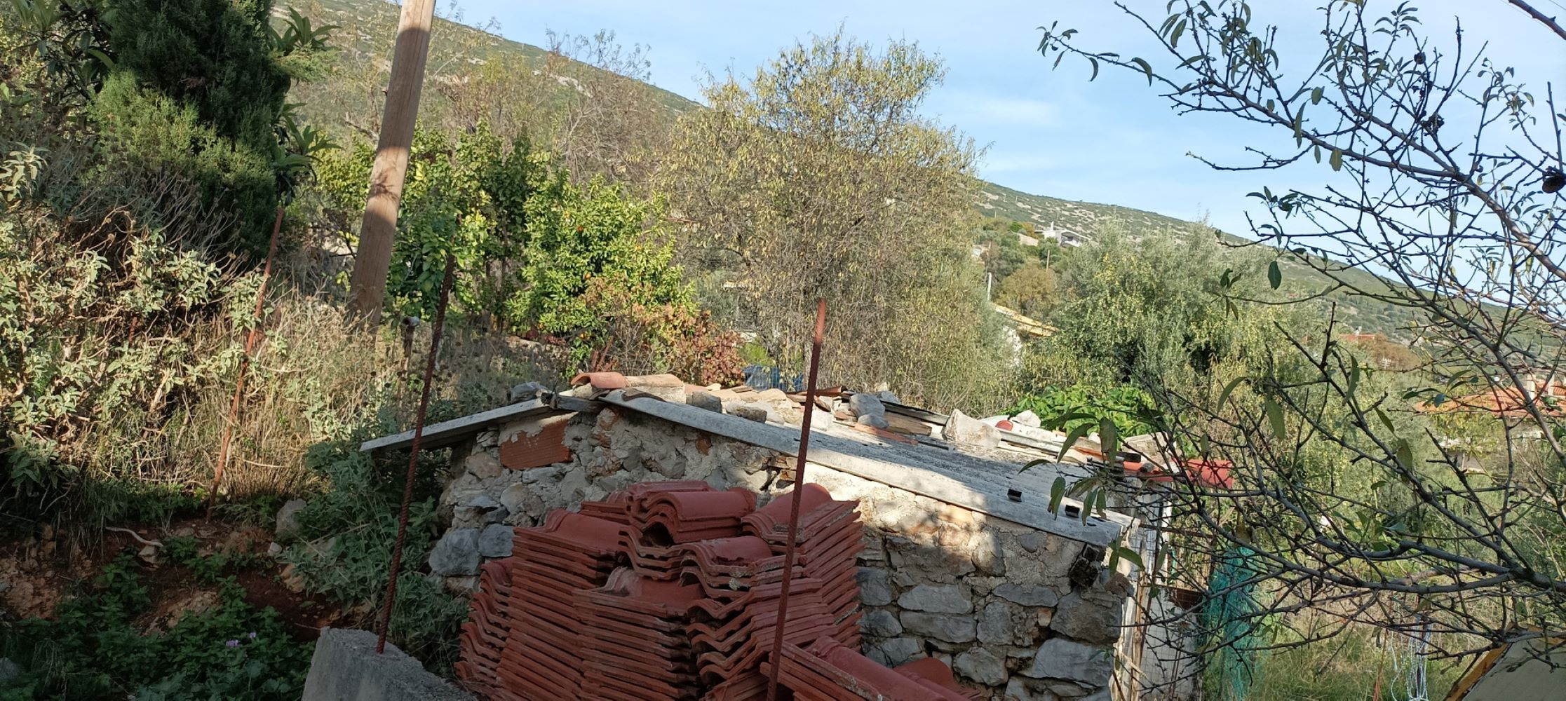 photo1