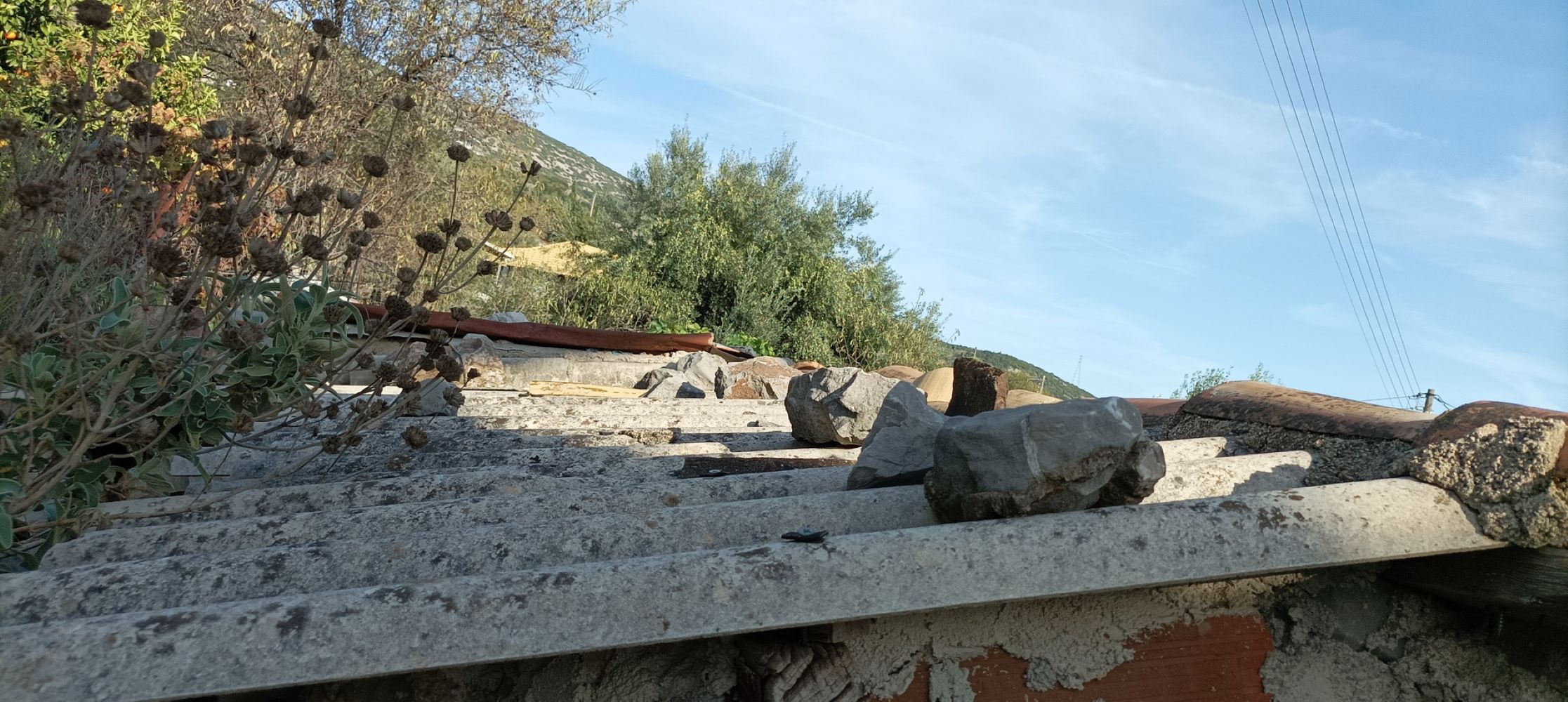 photo5