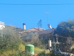 photo1