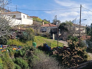 photo4
