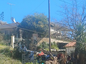 photo5