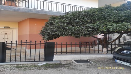 photo1