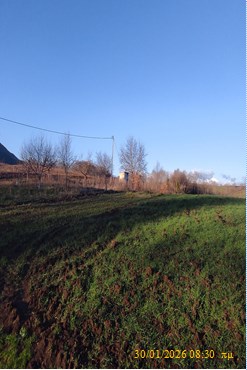 photo1