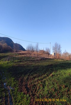 photo3