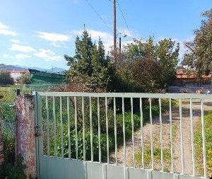 photo0