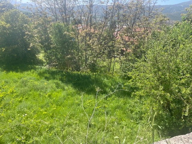 photo3
