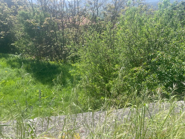 photo1