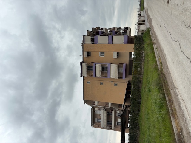 photo1