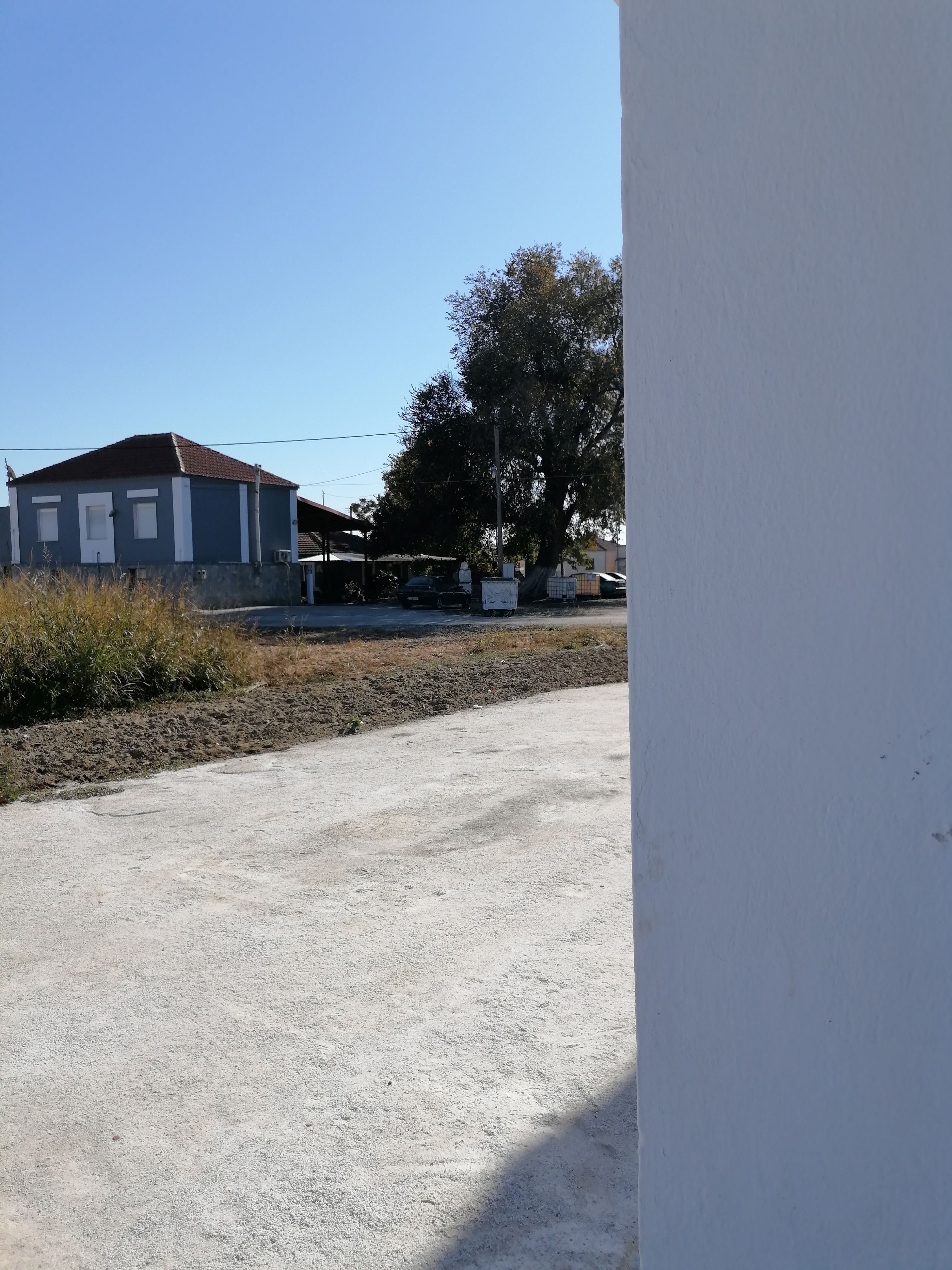 photo0