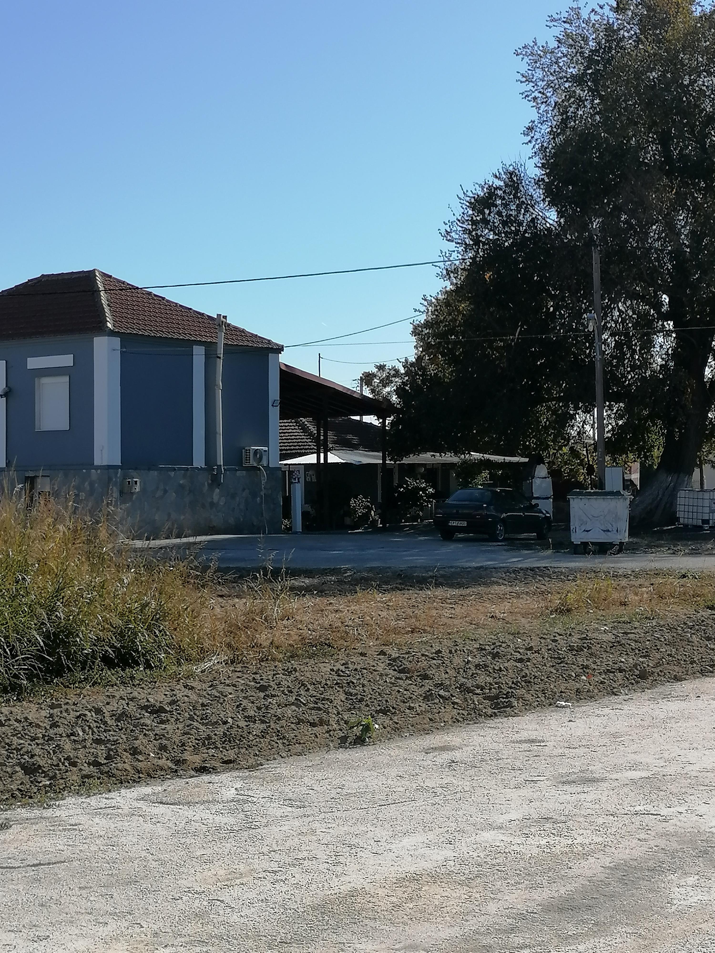 photo1