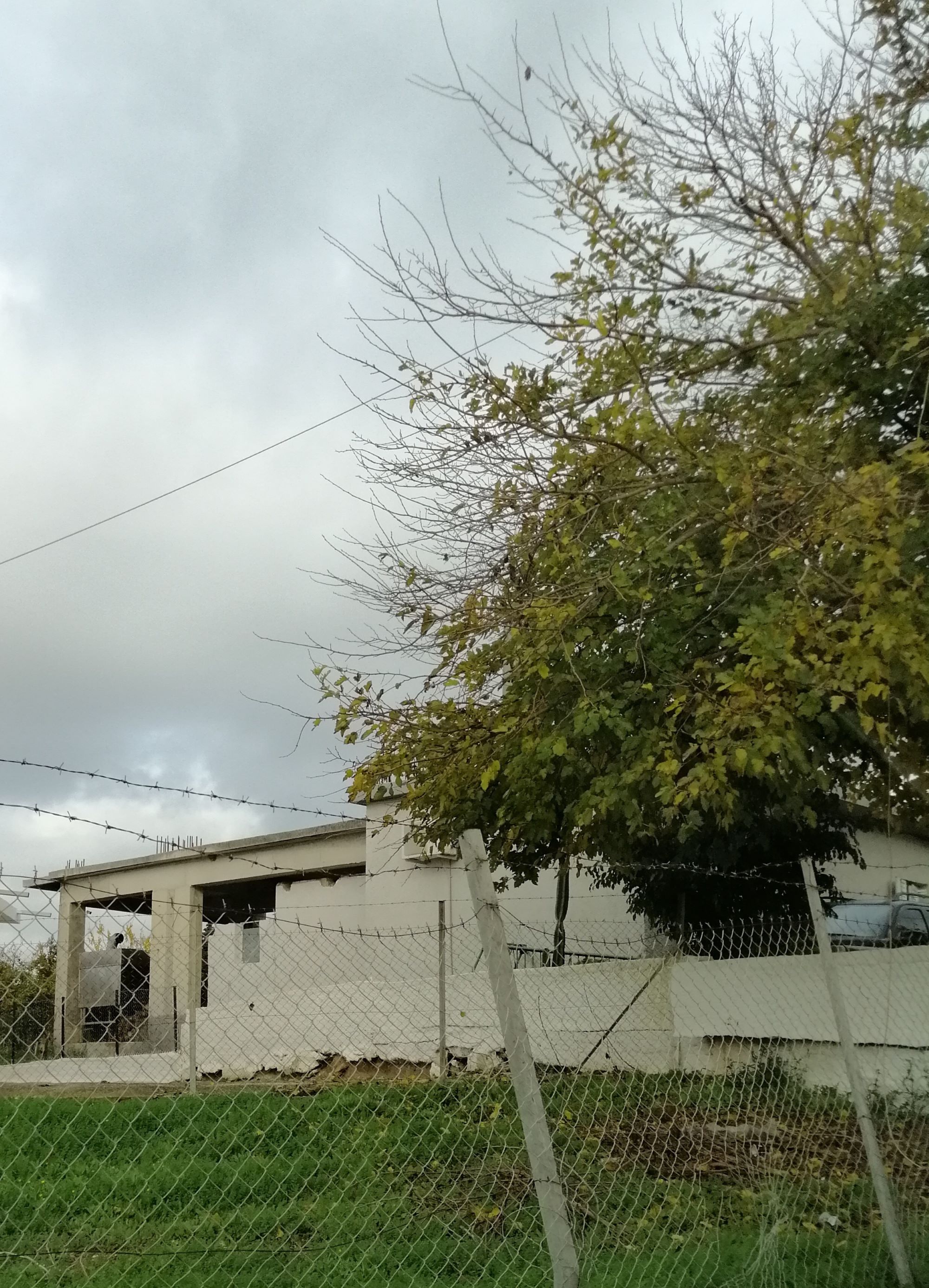 photo0