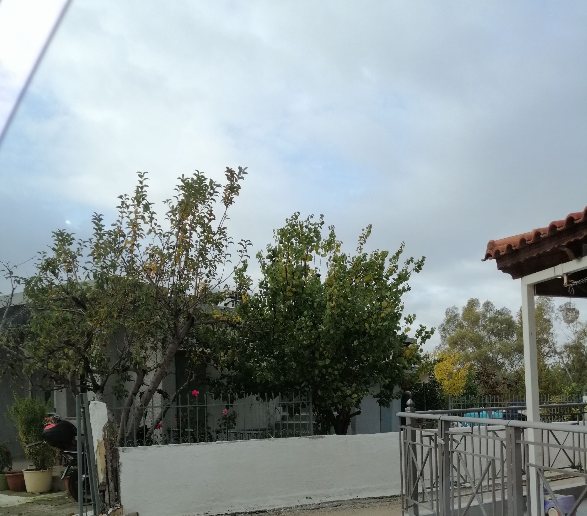 photo4