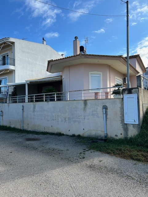 photo3