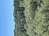 photo0