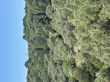 photo1