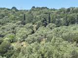photo2