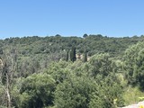 photo3