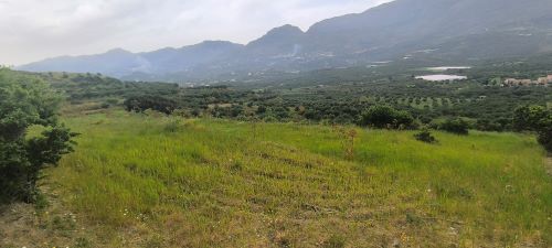 photo1