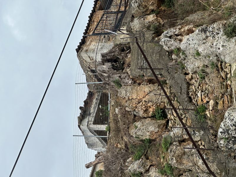 photo0
