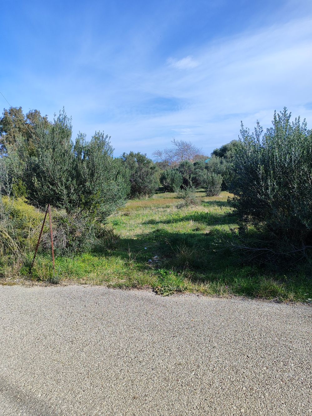 photo1