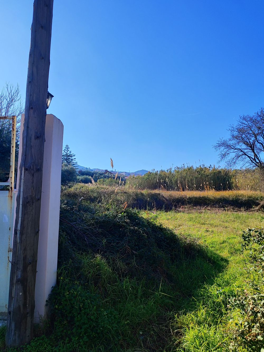 photo1