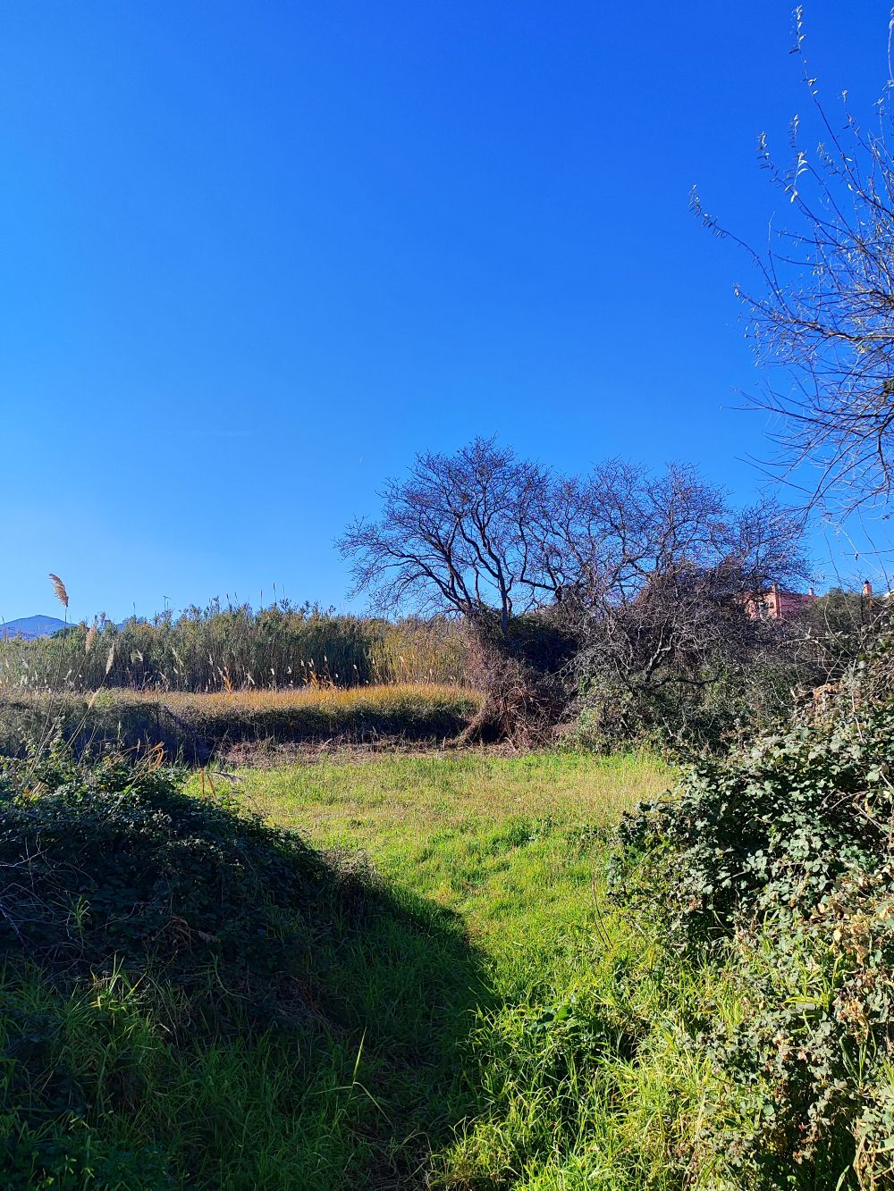 Οικόπεδο 462.98 sq.m. σε πλειστηριασμό Municipality of Patreon