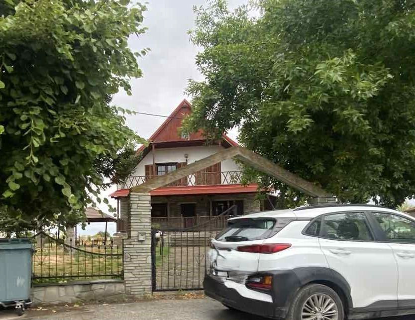 photo1